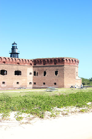 DTNPshipwrecks4