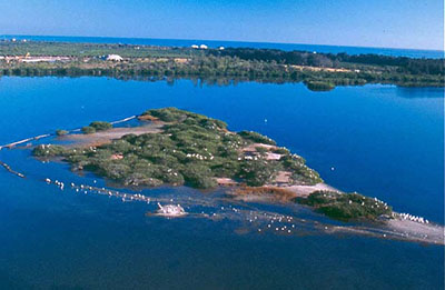 Pelican_Island1.