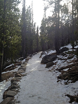 RMNPtrails6