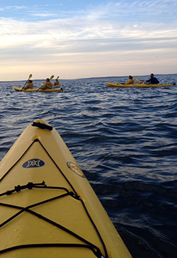 acadiakayaking2.