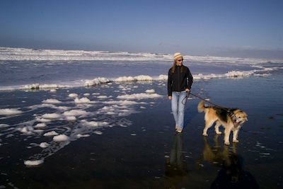 Our National Parks » Bringing dogs into parks can be dangerous