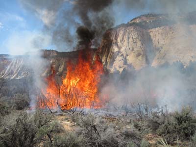 national park parks wildfires zion lightning smoking bring into guadalupe scenery utah mountains texas below left