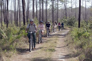 Long Pine Key Nature Trail 