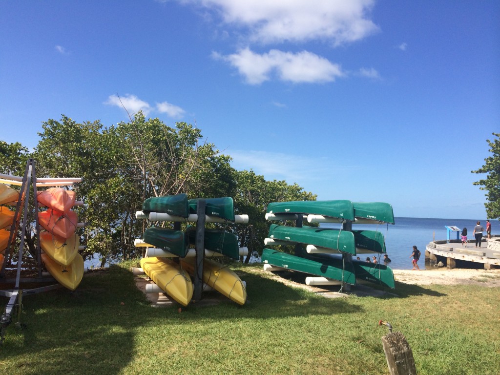 Canoes are also available for the people who are interested in Canoeing.