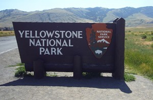 yellowstonelanding3