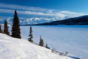 Denali landscape Wonder Lake NPS