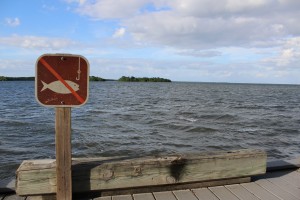 No fishing sign