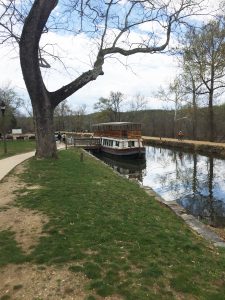 C&O Canal #1