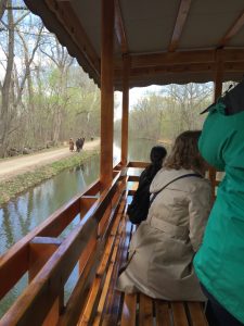 C&O Canal #3